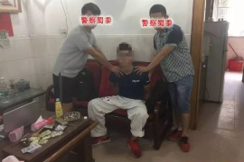 阎良企业清欠服务