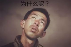 阎良债务清欠服务